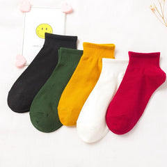 Women's Socks Fall Winter Tube