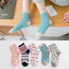 Women's Socks Fall Winter Tube