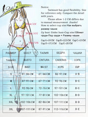 Miyouj Bow Bikinis 2024 Biquin Pleated Swimsuit Women Plaid Print Bikini Set Sexy Swimwear Push Up Beachwear Low Waist Bath Suit