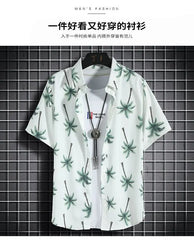 Beach Clothes For Men 2 Piece Set Quick Dry Hawaiian Shirt and Shorts Set Men Fashion Clothing Printing Casual Outfits Summer