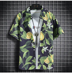 Beach Clothes For Men 2 Piece Set Quick Dry Hawaiian Shirt and Shorts Set Men Fashion Clothing Printing Casual Outfits Summer