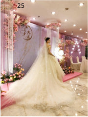 Bridal Wedding Dress Long Tail Luxury Super Fairy Wedding Veil - kinko
