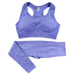 2PCS Women's Seamless Yoga Set – High Waist