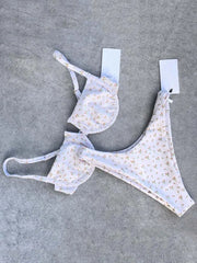 2025 New Sexy V Neck Bikini Swimwear Women Two Pieces Swimsuit Push Up Bikini Set Brazilian Bathing Suit Beachwear Swimming Suit